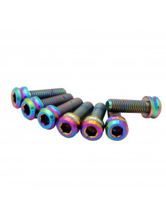 Set 6 Vis M8 Titane Pride Racing - Oil Slick