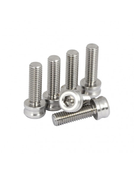 Kit Vis Potence M8 Titane Pride Racing - Silver (Pack de 6)