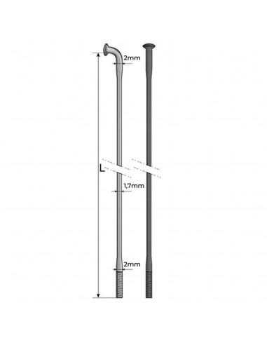 Rayons Pride Hexagon Double Butted (X10)
