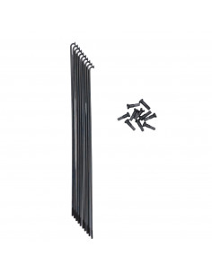 Rayons Pride Hexagon Stainless (X10)