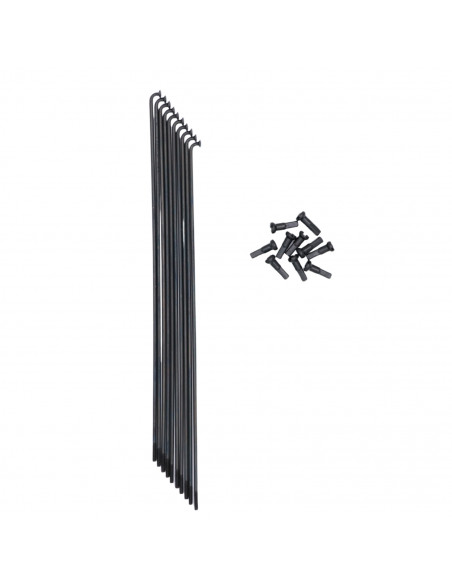 Rayons Pride Hexagon Stainless (X10)