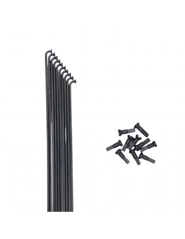 Rayons Pride Hexagon Stainless (X10)