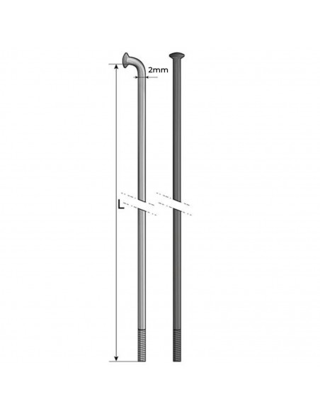 Rayons Pride Hexagon Stainless (X10)